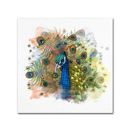The Tangled Peacock 'Percival The Peacock' Canvas Art,14x14